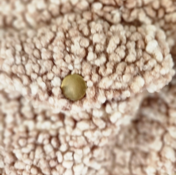 Sadie & Sage Cropstyle Shacket ptp 20 NWOT - Picture 3 of 7